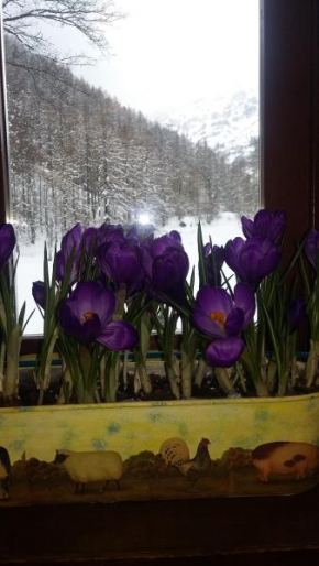 Отель Hotel Residence Lago Laux  Фенестрелле